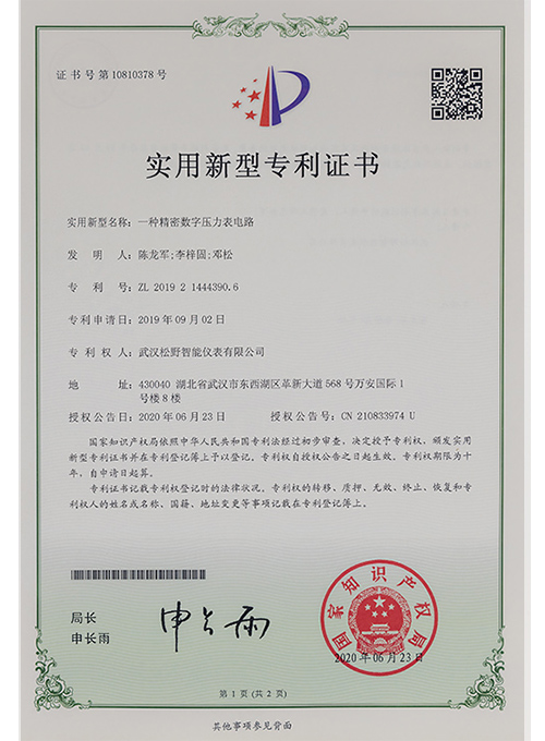 一种精密数字压力表电路-实用新型专利