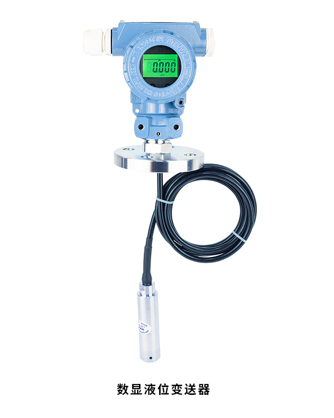 数显液位变送器,PG1300SY投入式液位计