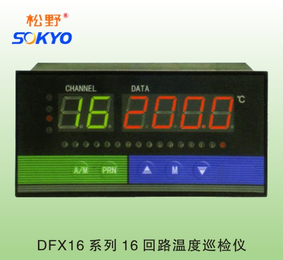 DFX9温度巡检仪,多路巡检仪图片