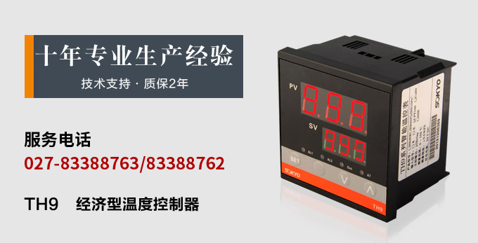 温控器,TH9经济型温度控制器,温控表产品宣传