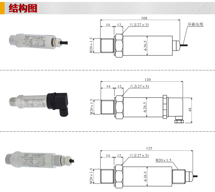 专用压力变送器,PG1300恒压供水压力传感器结构图