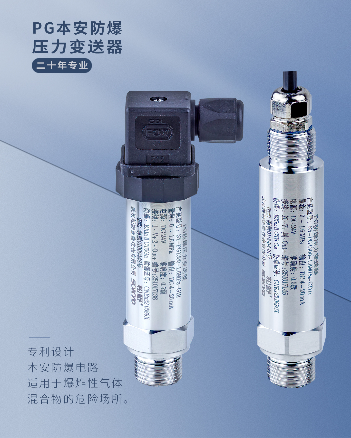 防爆压力变送器,PG1300本安防爆压力变送器产品宣传